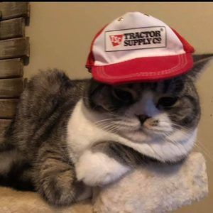 Meet your Posher, Mindy